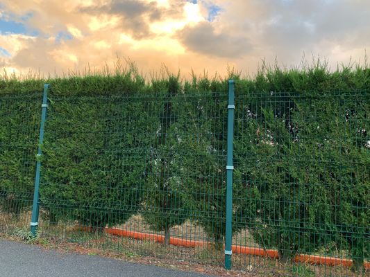 Bezpieczeństwo spawane sieci drutowej ogrodzenie powłoka korozyjna 3d Panel