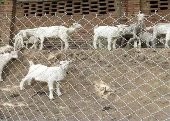 14 Gauge 6 Gauge Metal Chain Link Ogrodzenie Niskówęglowa Stal