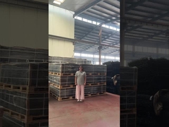 Clear View Trellis Spikes Security 358 Ogrodzenie zapobiegające wspinaczce