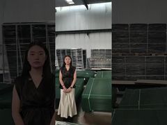 Paleta do produkcji ogrodzeń zabezpieczających Clear View Fence Anti Climb